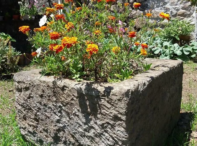 Quintal D'angra アパート