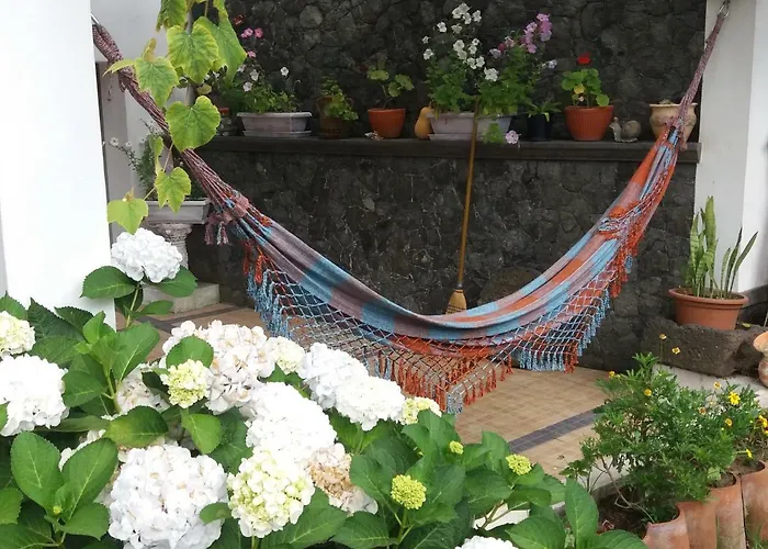 Quintal D'angra アングラ・ド・エロイーズモ