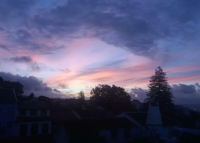 Quintal D'angra * アングラ・ド・エロイーズモ